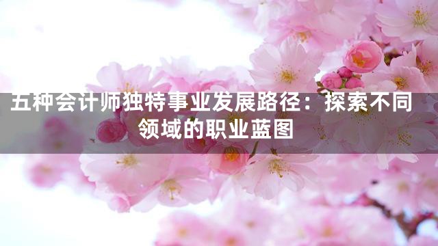 五种会计师独特事业发展路径：探索不同领域的职业蓝图