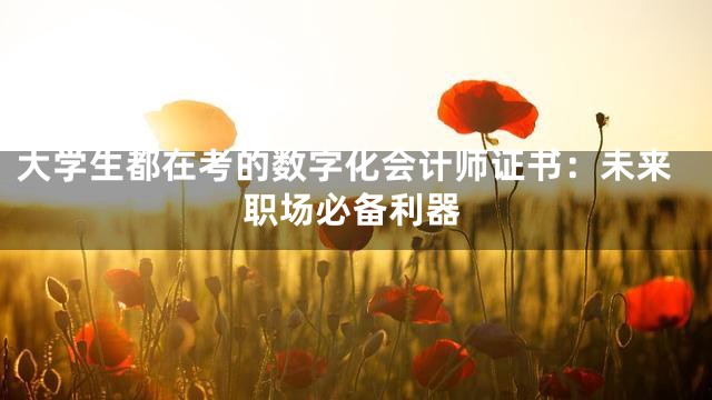 大学生都在考的数字化会计师证书：未来职场必备利器