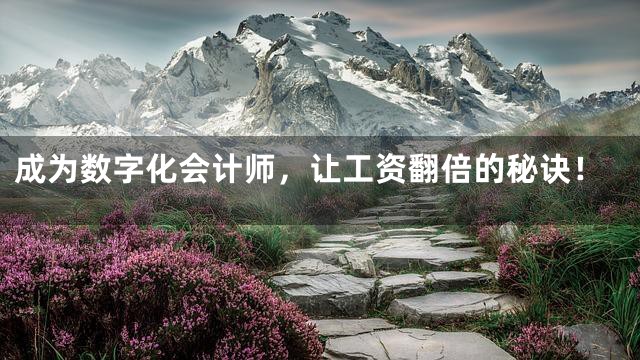 成为数字化会计师，让工资翻倍的秘诀！