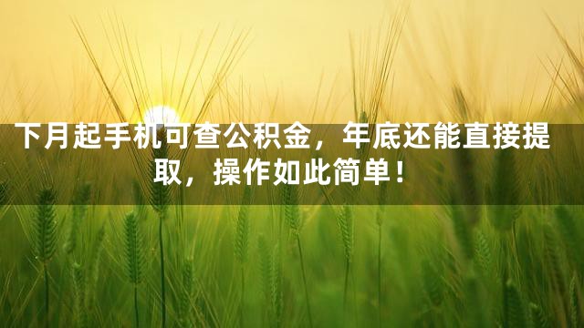 下月起手机可查公积金，年底还能直接提取，操作如此简单！