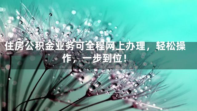 住房公积金业务可全程网上办理，轻松操作，一步到位！