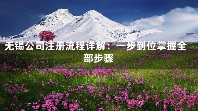 无锡公司注册流程详解：一步到位掌握全部步骤