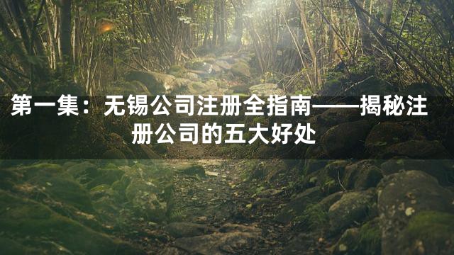 第一集：无锡公司注册全指南——揭秘注册公司的五大好处