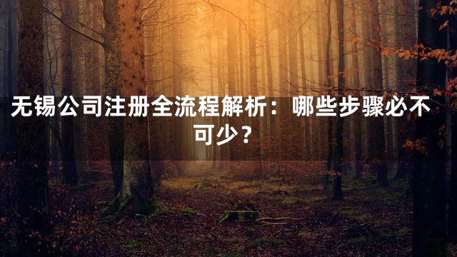 无锡公司注册全流程解析：哪些步骤必不可少？