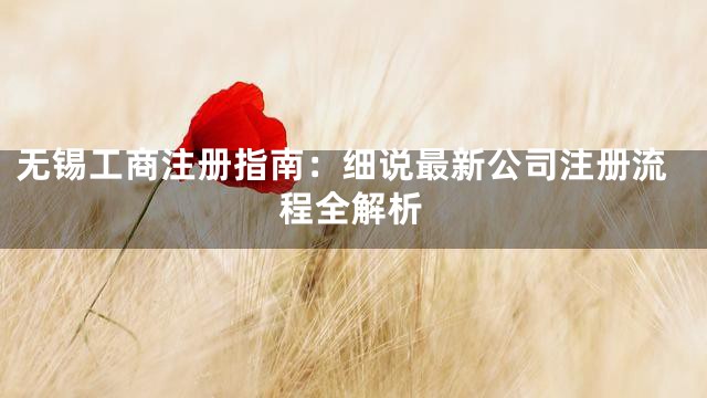 无锡工商注册指南：细说最新公司注册流程全解析