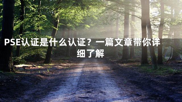 PSE认证是什么认证？一篇文章带你详细了解