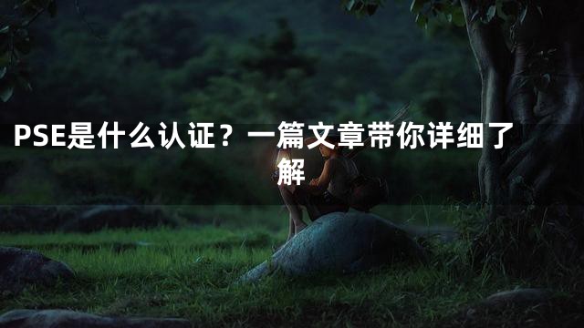 PSE是什么认证？一篇文章带你详细了解
