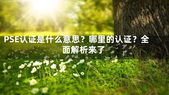 PSE认证是什么意思？哪里的认证？全面解析来了