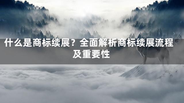 什么是商标续展？全面解析商标续展流程及重要性