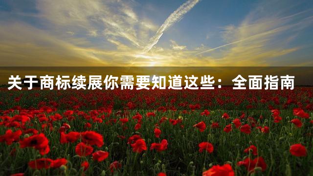 关于商标续展你需要知道这些：全面指南