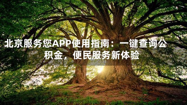 北京服务您APP使用指南：一键查询公积金，便民服务新体验
