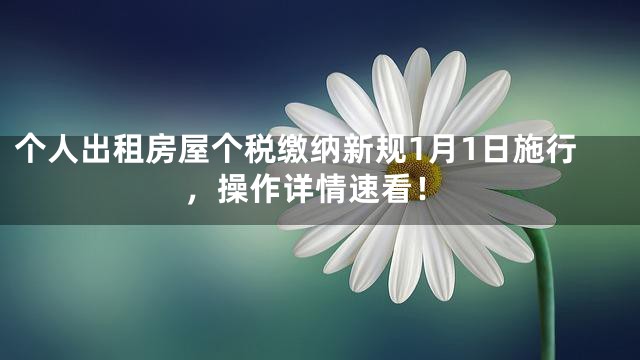个人出租房屋个税缴纳新规1月1日施行，操作详情速看！