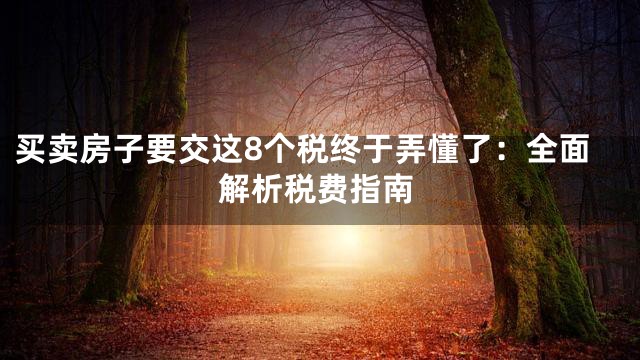买卖房子要交这8个税终于弄懂了：全面解析税费指南