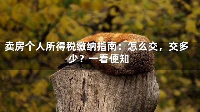 卖房个人所得税缴纳指南：怎么交，交多少？一看便知