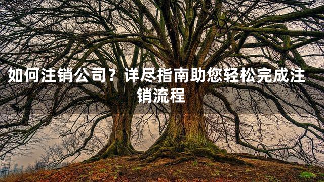 如何注销公司？详尽指南助您轻松完成注销流程