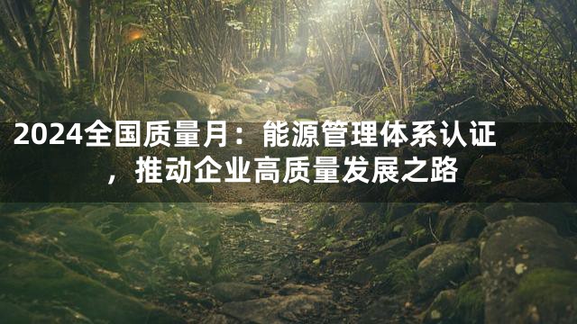 2024全国质量月：能源管理体系认证，推动企业高质量发展之路
