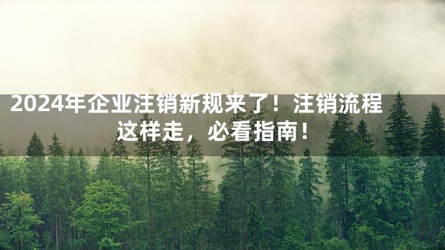 2024年企业注销新规来了！注销流程这样走，必看指南！