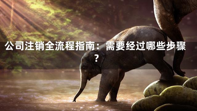公司注销全流程指南：需要经过哪些步骤？