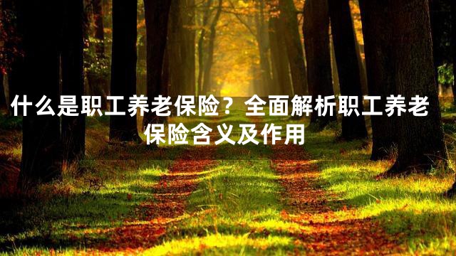 什么是职工养老保险？全面解析职工养老保险含义及作用