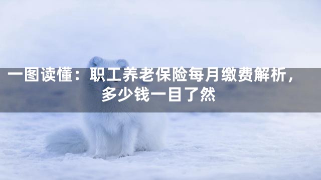 一图读懂：职工养老保险每月缴费解析，多少钱一目了然