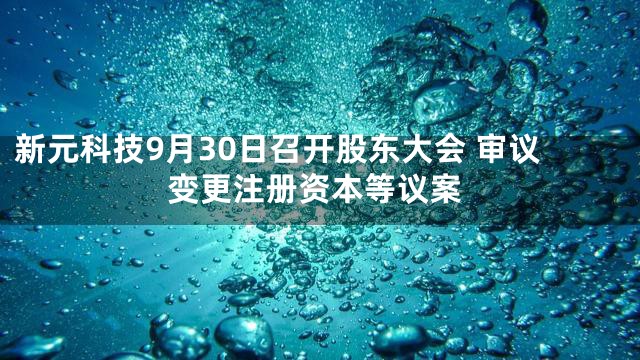 新元科技9月30日召开股东大会 审议变更注册资本等议案