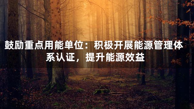 鼓励重点用能单位：积极开展能源管理体系认证，提升能源效益