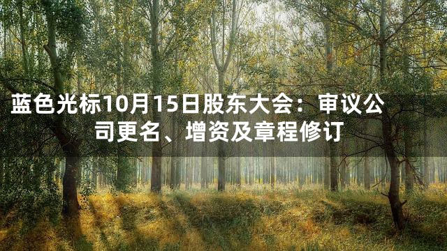 蓝色光标10月15日股东大会：审议公司更名、增资及章程修订