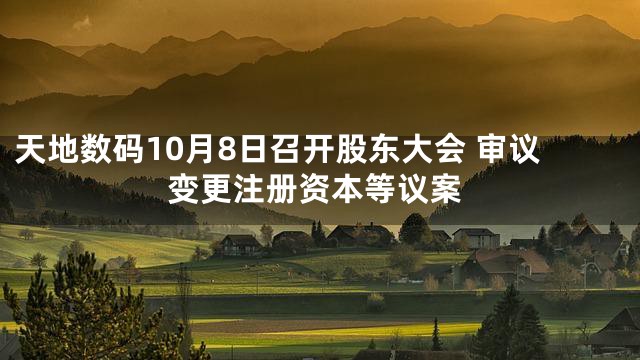 天地数码10月8日召开股东大会 审议变更注册资本等议案