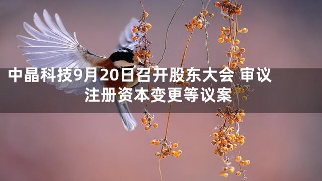 中晶科技9月20日召开股东大会 审议注册资本变更等议案