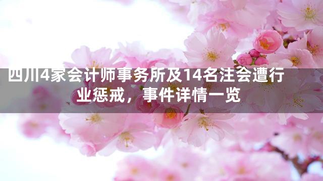 四川4家会计师事务所及14名注会遭行业惩戒，事件详情一览