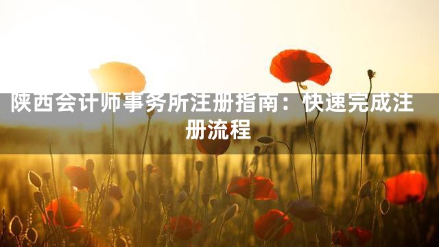 陕西会计师事务所注册指南：快速完成注册流程