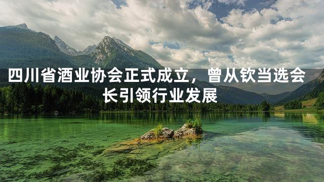 四川省酒业协会正式成立，曾从钦当选会长引领行业发展