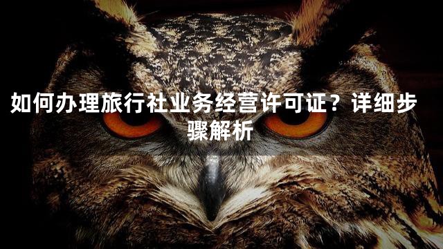 如何办理旅行社业务经营许可证？详细步骤解析