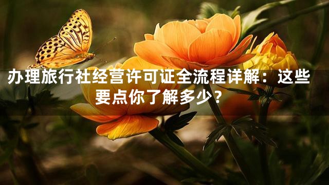 办理旅行社经营许可证全流程详解：这些要点你了解多少？