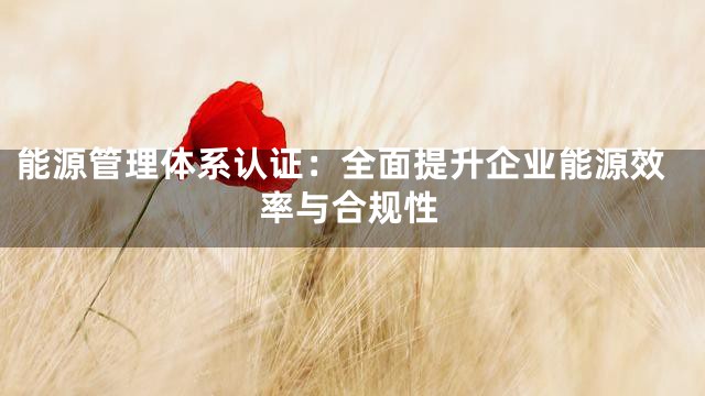 能源管理体系认证：全面提升企业能源效率与合规性