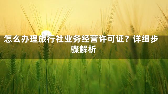 怎么办理旅行社业务经营许可证？详细步骤解析