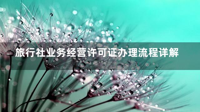 旅行社业务经营许可证办理流程详解