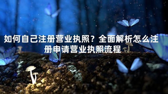 如何自己注册营业执照？全面解析怎么注册申请营业执照流程