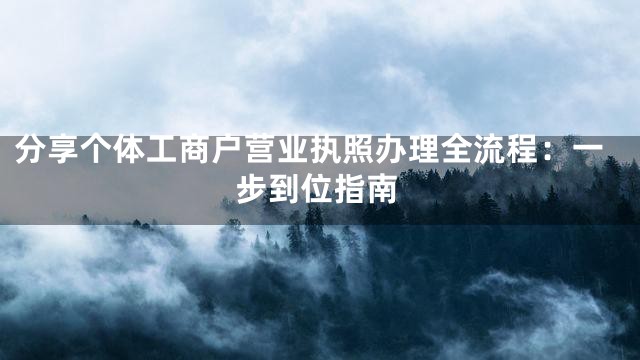 分享个体工商户营业执照办理全流程：一步到位指南