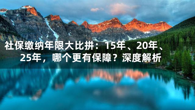 社保缴纳年限大比拼：15年、20年、25年，哪个更有保障？深度解析