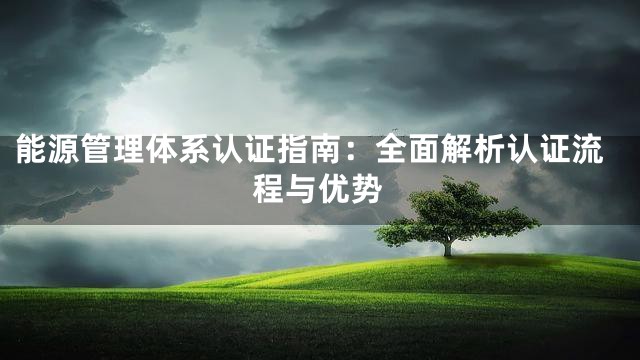 能源管理体系认证指南：全面解析认证流程与优势