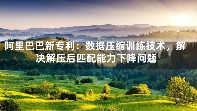 阿里巴巴新专利：数据压缩训练技术，解决解压后匹配能力下降问题