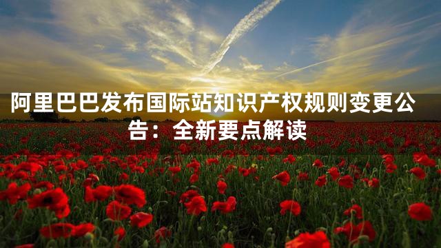 阿里巴巴发布国际站知识产权规则变更公告：全新要点解读