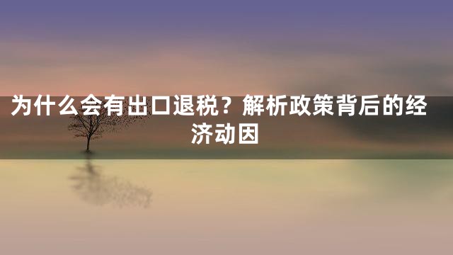 为什么会有出口退税？解析政策背后的经济动因