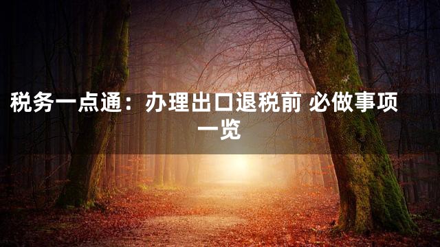 税务一点通：办理出口退税前 必做事项一览