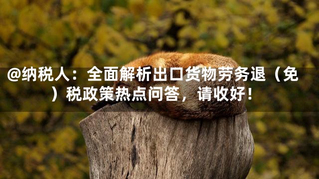 @纳税人：全面解析出口货物劳务退（免）税政策热点问答，请收好！