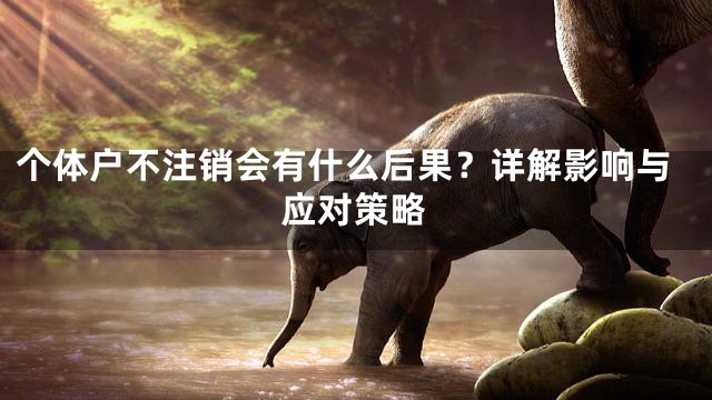 个体户不注销会有什么后果？详解影响与应对策略