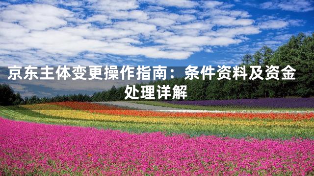 京东主体变更操作指南：条件资料及资金处理详解