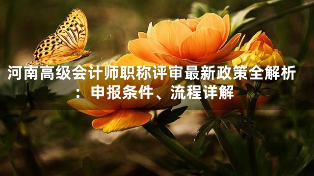 河南高级会计师职称评审最新政策全解析：申报条件、流程详解