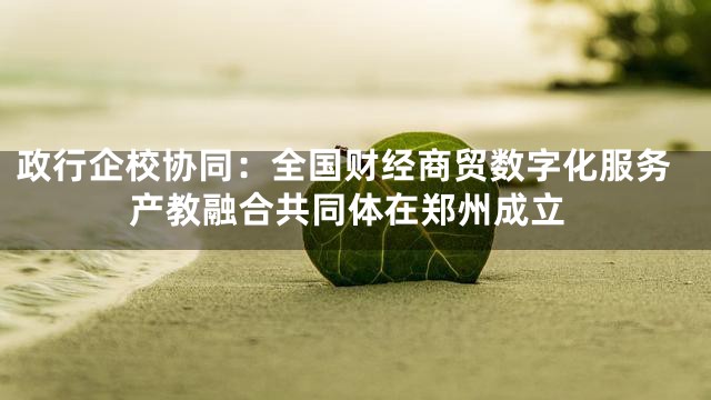 政行企校协同：全国财经商贸数字化服务产教融合共同体在郑州成立